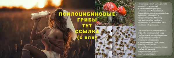 ПСИЛОЦИБИНОВЫЕ ГРИБЫ Белоозёрский