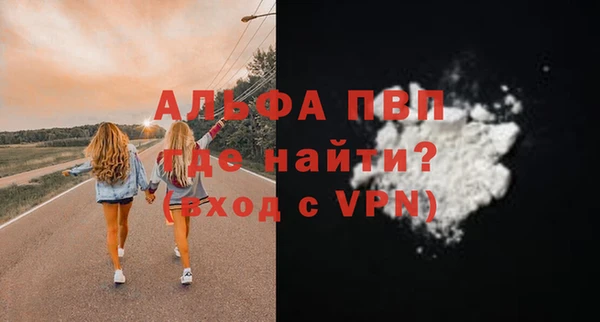 шишки Белокуриха