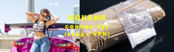 шишки Белокуриха