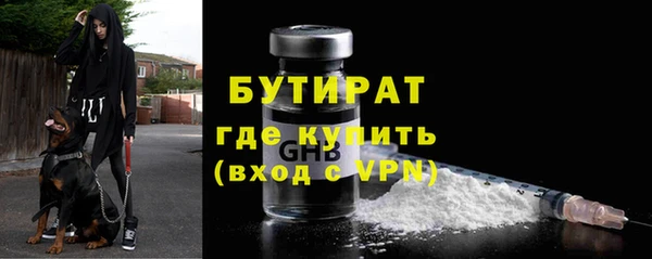 шишки Белокуриха