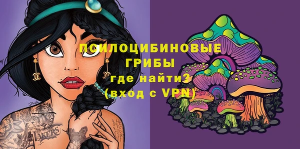 ПСИЛОЦИБИНОВЫЕ ГРИБЫ Белоозёрский