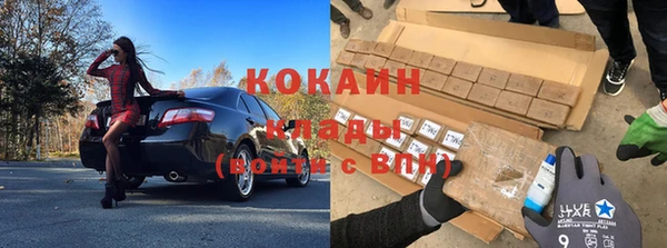 ПСИЛОЦИБИНОВЫЕ ГРИБЫ Белоозёрский