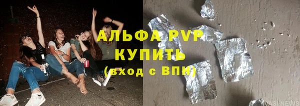 шишки Белокуриха