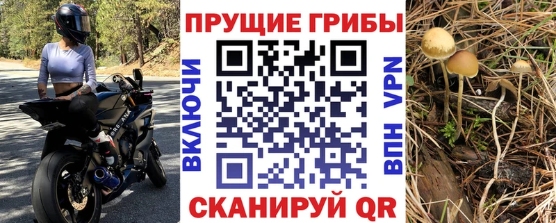 Галлюциногенные грибы Magic Shrooms  мориарти телеграм  Крымск 